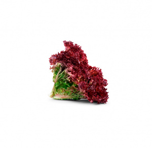 ALFACE LOLLA ROSSA NAC. 1UNI 300GR APROX.