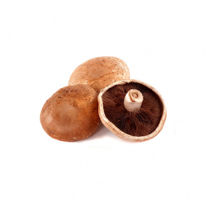 COGUMELOS PORTOBELLO IMP. 200GR