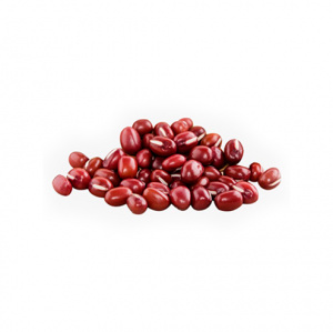 FEIJÃO AZUKI IMP. 500GR