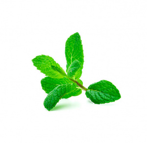 ERVA AROMA HORTELÃ NAC. 50/60GR