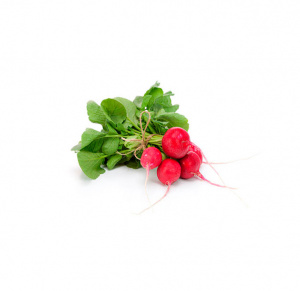 RABANETE C/ RAMA NAC. 1MOLHO