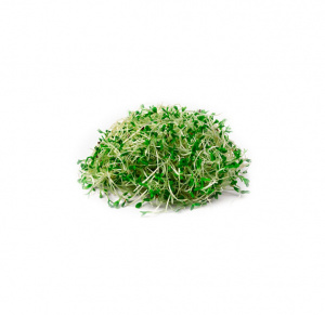 REBENTOS DE ALFAFA IMP. 150GR