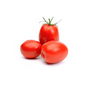 TOMATES CHUCHA IMP. 1KG   