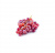UVAS RED GLOBE IMP. 1KG